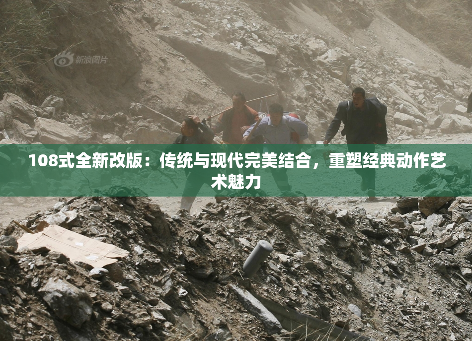 108式全新改版：传统与现代完美结合，重塑经典动作艺术魅力