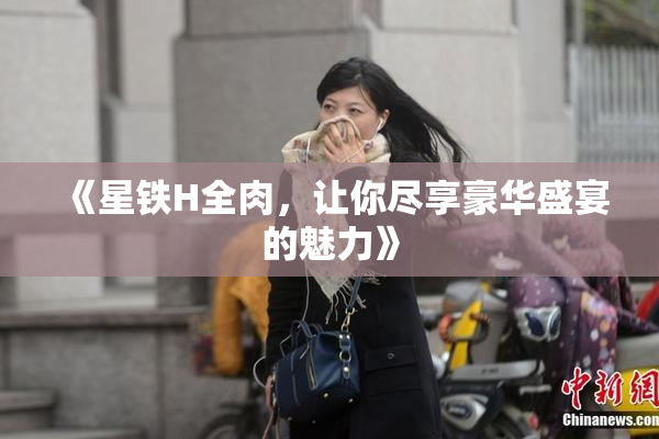 《星铁H全肉，让你尽享豪华盛宴的魅力》
