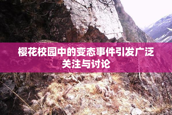 樱花校园中的变态事件引发广泛关注与讨论