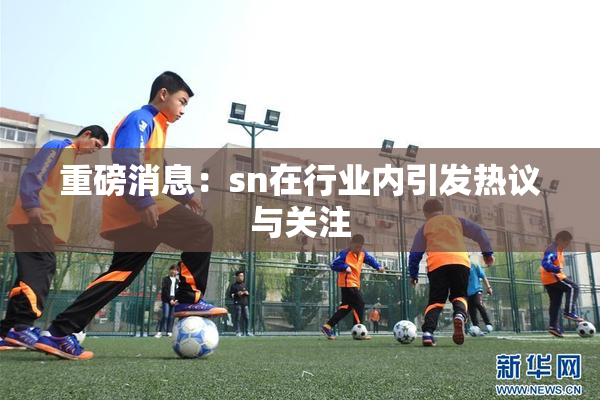 重磅消息：sn在行业内引发热议与关注