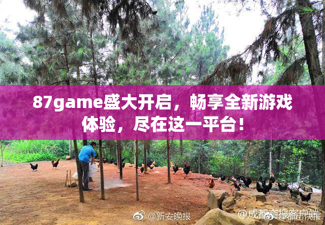 87game盛大开启，畅享全新游戏体验，尽在这一平台！