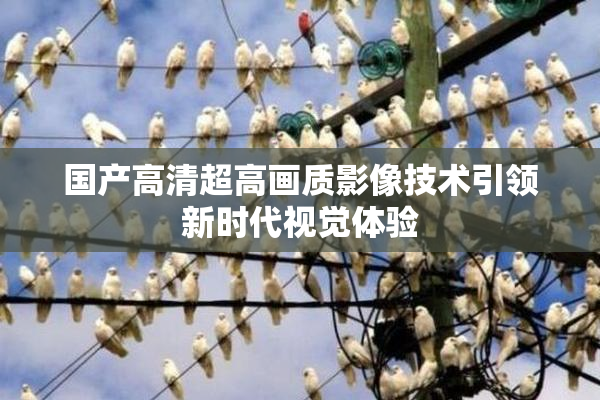 国产高清超高画质影像技术引领新时代视觉体验