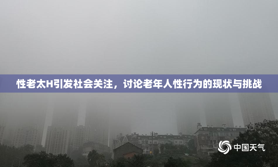 性老太H引发社会关注，讨论老年人性行为的现状与挑战