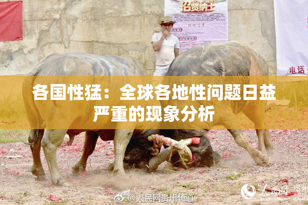 各国性猛：全球各地性问题日益严重的现象分析