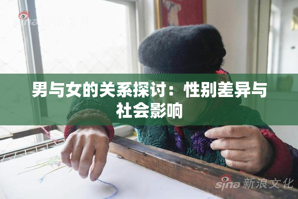男与女的关系探讨：性别差异与社会影响