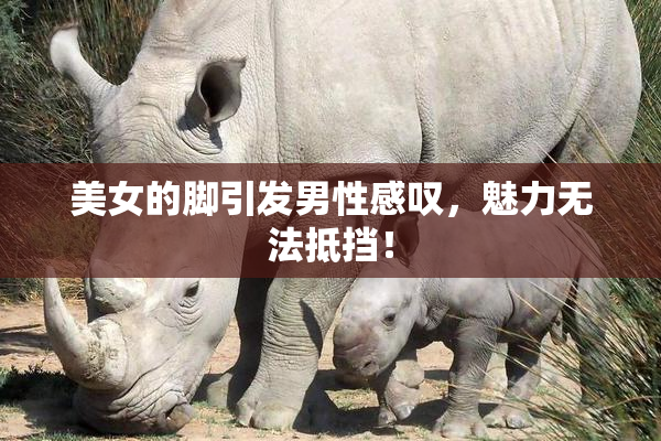 美女的脚引发男性感叹，魅力无法抵挡！