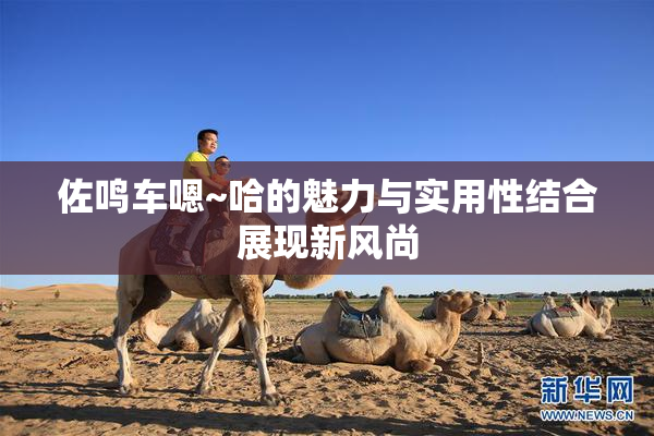 佐鸣车嗯~哈的魅力与实用性结合展现新风尚