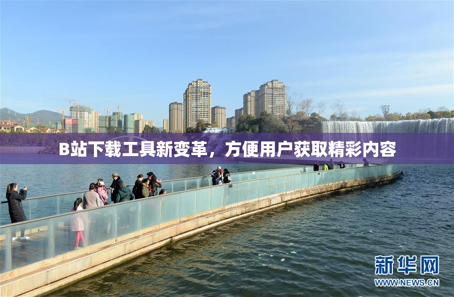 B站下载工具新变革，方便用户获取精彩内容