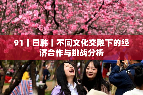91丨日韩丨不同文化交融下的经济合作与挑战分析