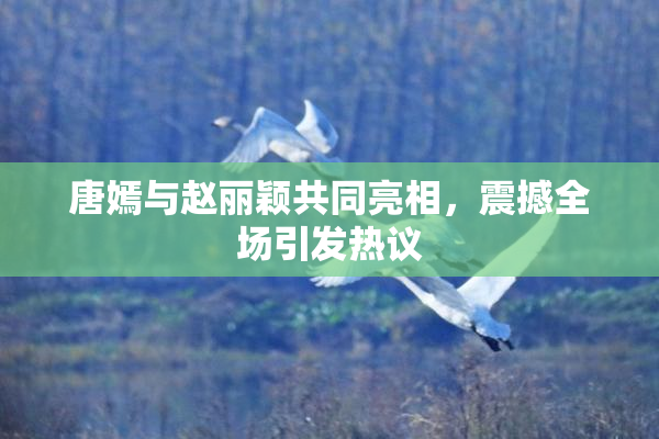 唐嫣与赵丽颖共同亮相，震撼全场引发热议