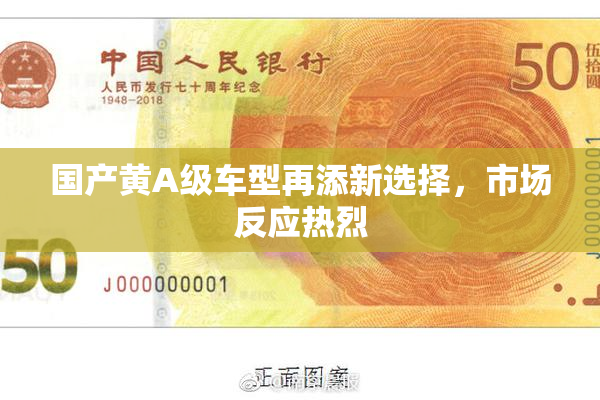 国产黄A级车型再添新选择，市场反应热烈