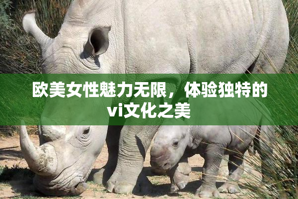 欧美女性魅力无限，体验独特的vi文化之美