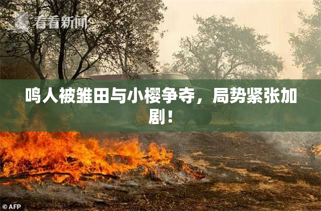 鸣人被雏田与小樱争夺，局势紧张加剧！