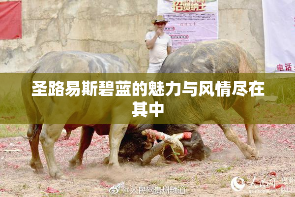 圣路易斯碧蓝的魅力与风情尽在其中