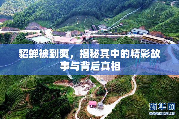 貂蝉被到爽，揭秘其中的精彩故事与背后真相