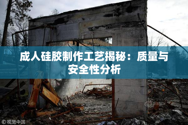 成人硅胶制作工艺揭秘：质量与安全性分析