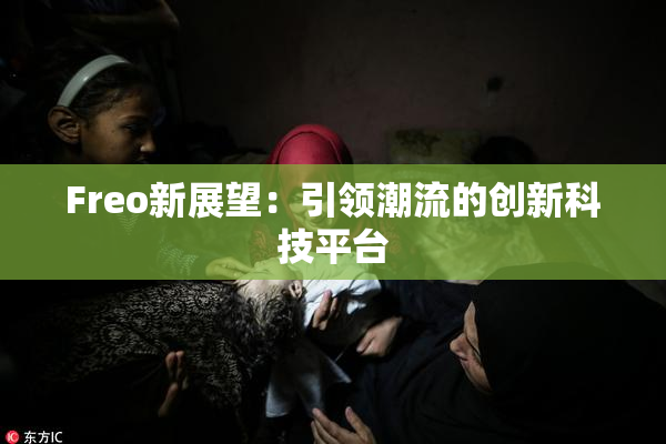 Freo新展望：引领潮流的创新科技平台