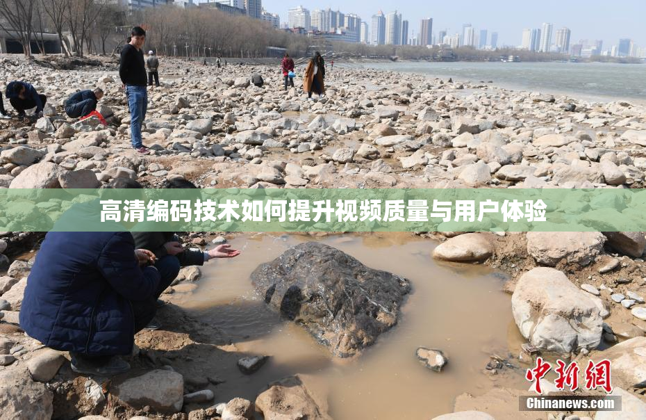 高清编码技术如何提升视频质量与用户体验