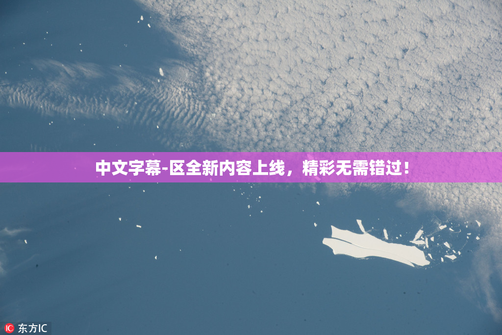 中文字幕-区全新内容上线，精彩无需错过！