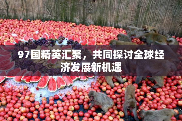 97国精英汇聚，共同探讨全球经济发展新机遇