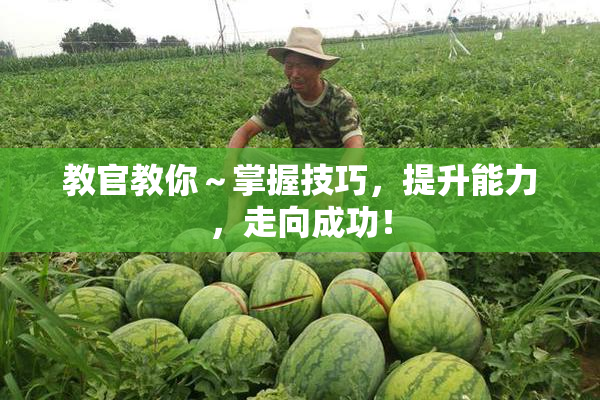 教官教你～掌握技巧，提升能力，走向成功！
