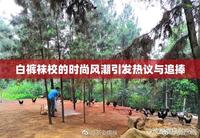 白裤袜校的时尚风潮引发热议与追捧