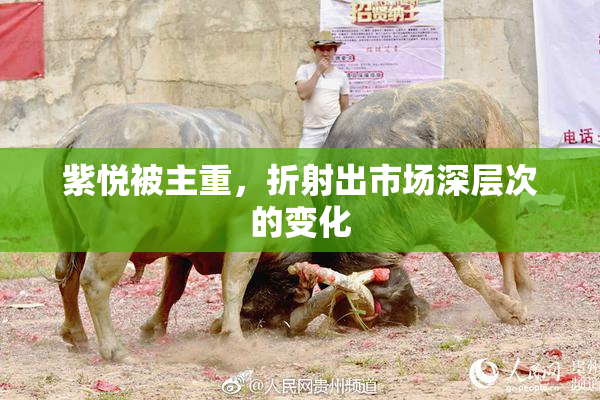 紫悦被主重，折射出市场深层次的变化