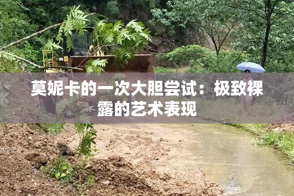 莫妮卡的一次大胆尝试：极致裸露的艺术表现