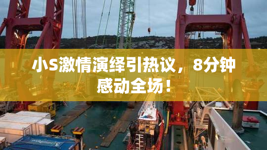 小S激情演绎引热议，8分钟感动全场！