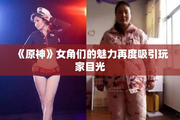 《原神》女角们的魅力再度吸引玩家目光