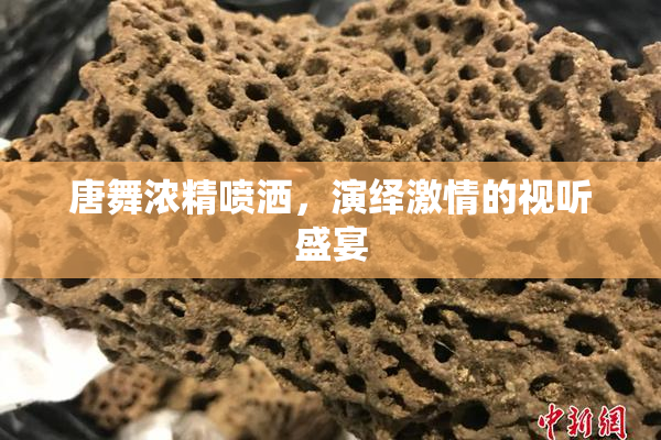 唐舞浓精喷洒，演绎激情的视听盛宴