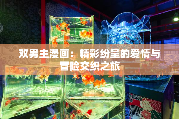 双男主漫画：精彩纷呈的爱情与冒险交织之旅