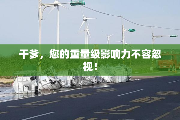干爹，您的重量级影响力不容忽视！