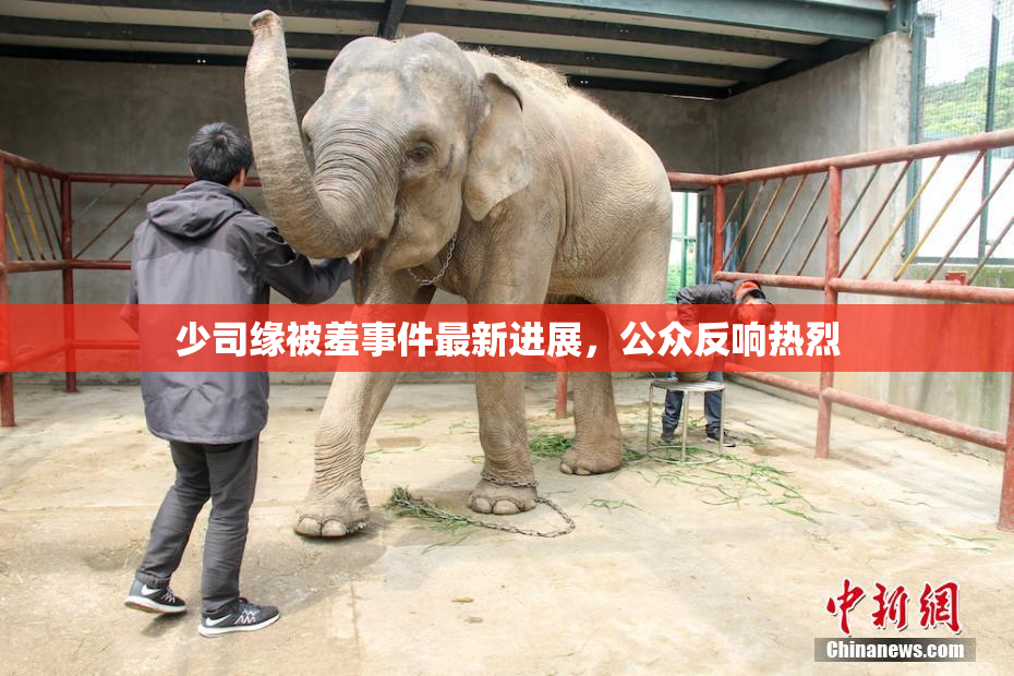 少司缘被羞事件最新进展，公众反响热烈