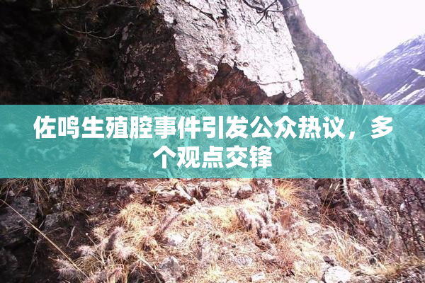 佐鸣生殖腔事件引发公众热议，多个观点交锋