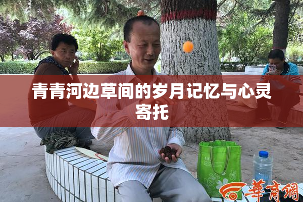 青青河边草间的岁月记忆与心灵寄托