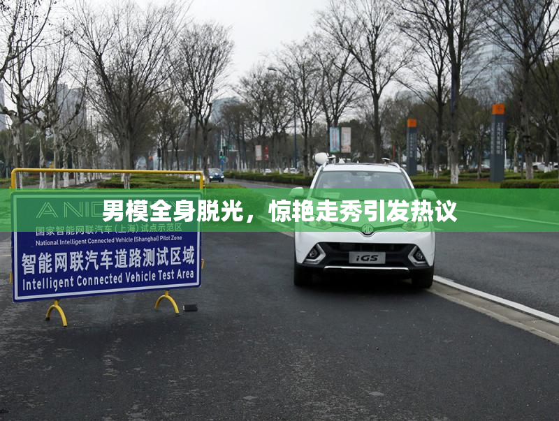 男模全身脱光，惊艳走秀引发热议