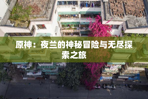 原神：夜兰的神秘冒险与无尽探索之旅