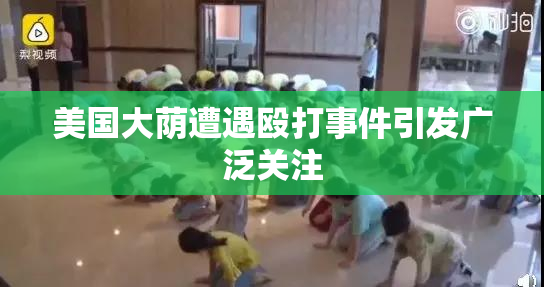 美国大荫遭遇殴打事件引发广泛关注