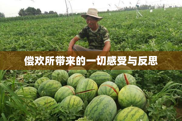 偿欢所带来的一切感受与反思