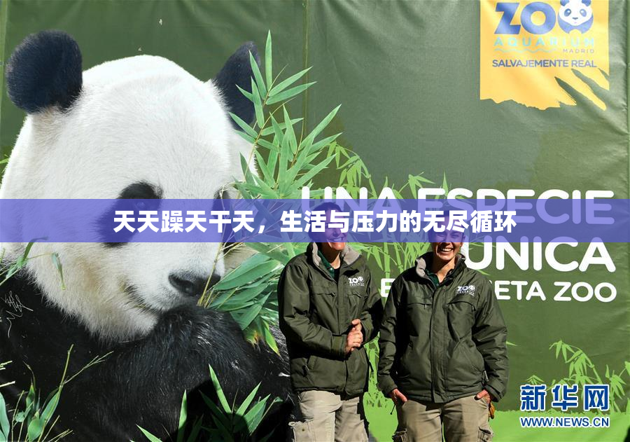 天天躁天干天，生活与压力的无尽循环