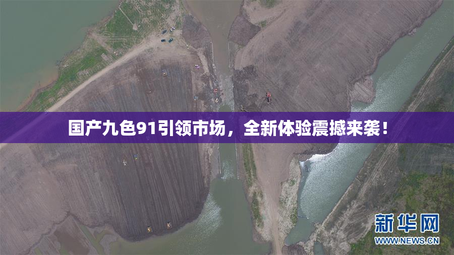 国产九色91引领市场，全新体验震撼来袭！
