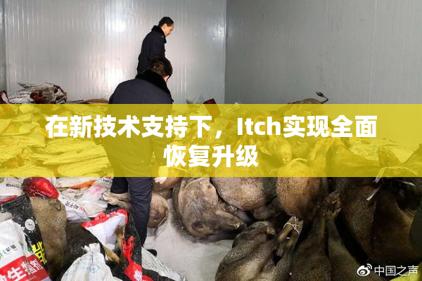 在新技术支持下，Itch实现全面恢复升级