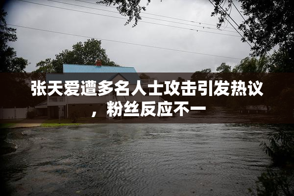 张天爱遭多名人士攻击引发热议，粉丝反应不一
