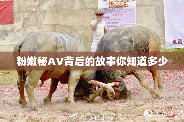 粉嫩秘AV背后的故事你知道多少