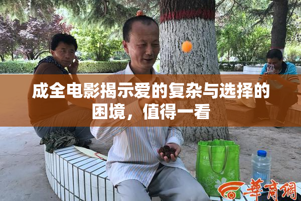 成全电影揭示爱的复杂与选择的困境，值得一看