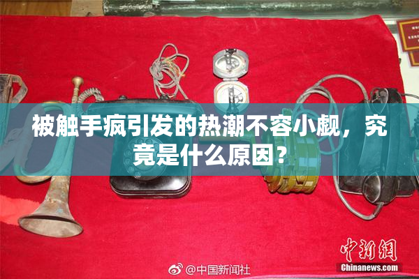 被触手疯引发的热潮不容小觑，究竟是什么原因？