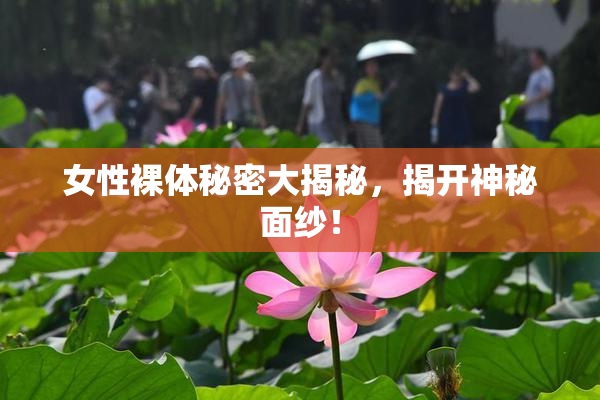 女性裸体秘密大揭秘，揭开神秘面纱！