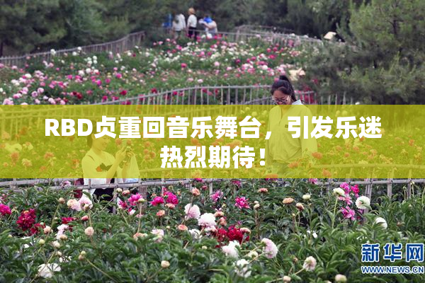RBD贞重回音乐舞台，引发乐迷热烈期待！