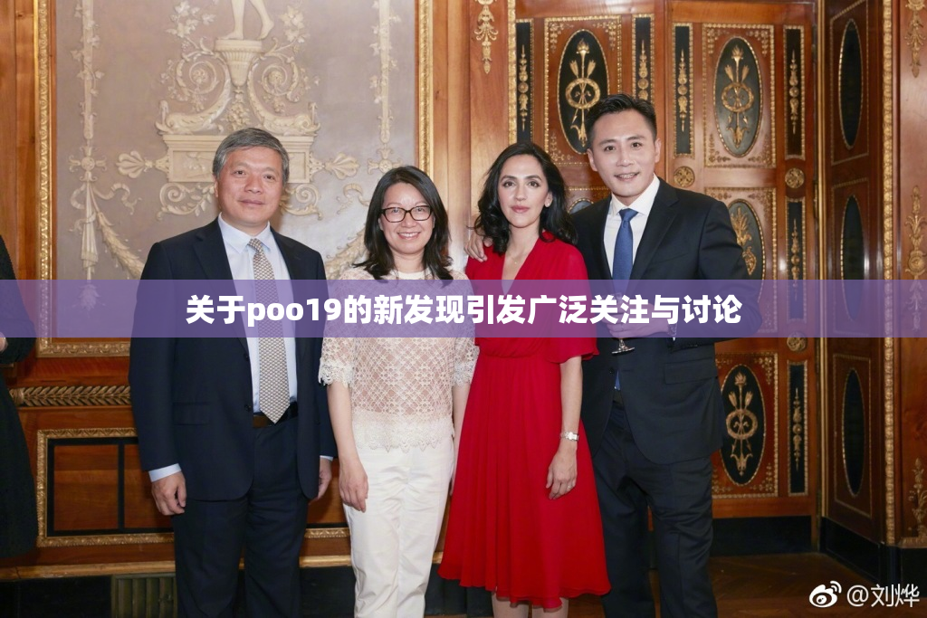 关于poo19的新发现引发广泛关注与讨论